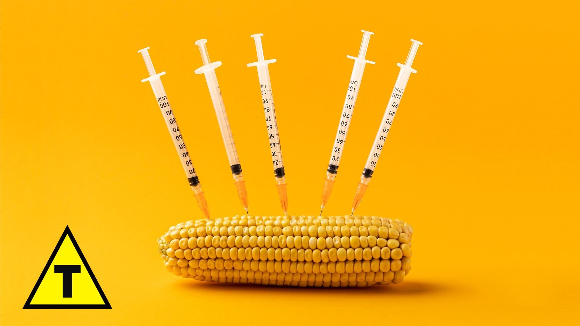 Ração com ou sem transgênicos: o que realmente muda na saúde do seu pet?